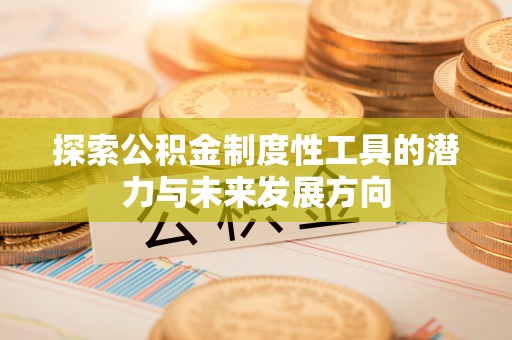 兰山探索公积金制度性工具的潜力与未来发展方向