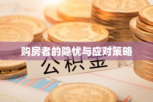 兰山购房者的隐忧与应对策略