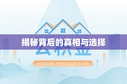 兰山揭秘背后的真相与选择