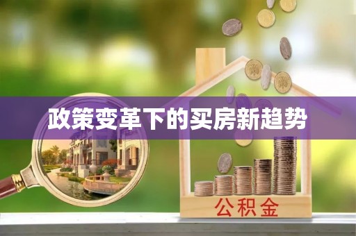 兰山政策变革下的买房新趋势